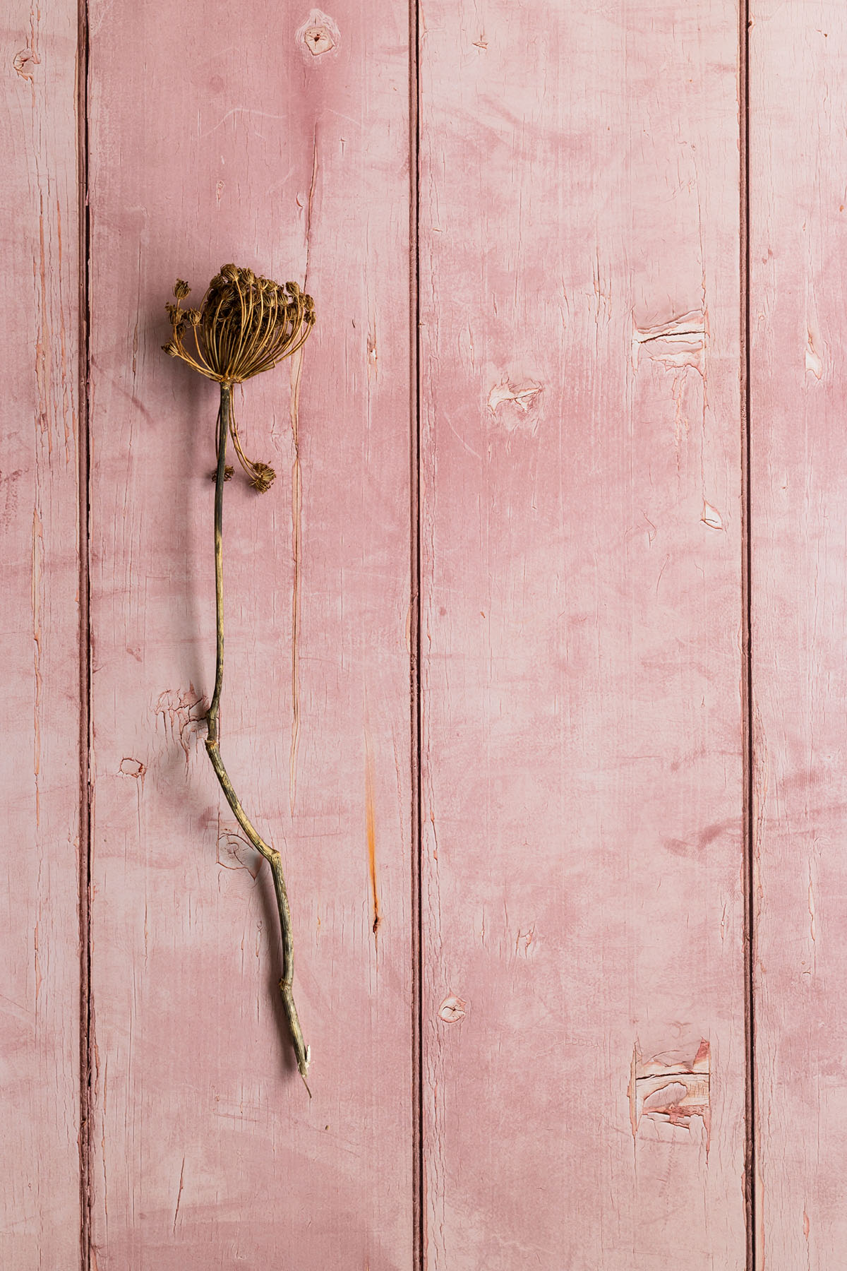 Houten planken backdrop voor recepten styling, video en fotografie